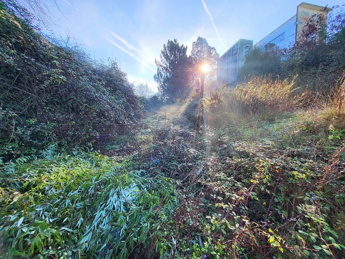 Terreno para Venda em Alvarelhos e Guidões Foto 3
