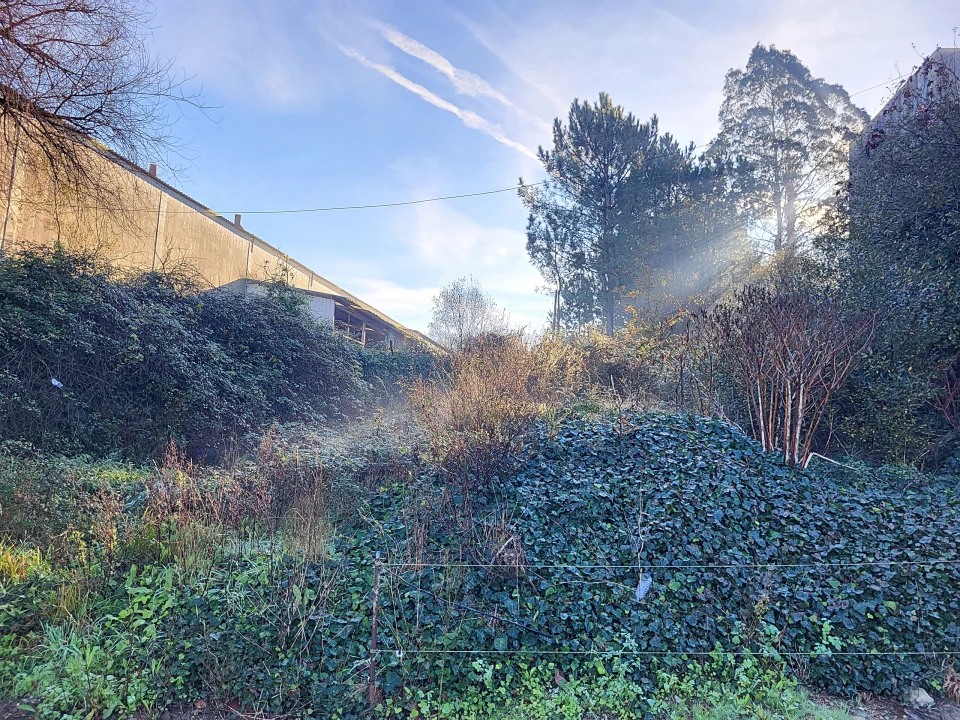 Terreno para Venda em Alvarelhos e Guidões Foto 4