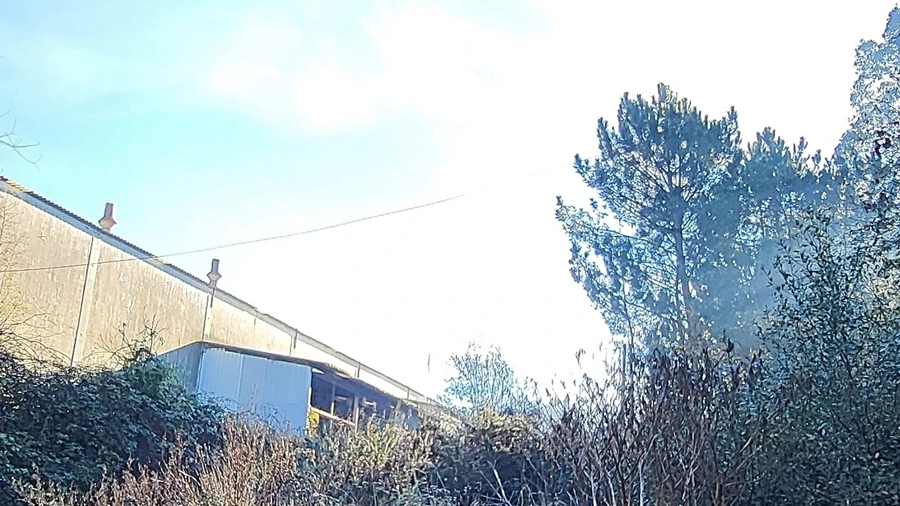 Terreno para Venda em Alvarelhos e Guidões