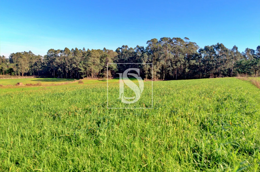 Terreno Agricola ou Rústico para Venda em Laundos Foto 3