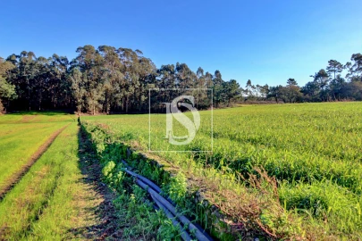 Terreno Agricola ou Rústico para Venda em Laundos