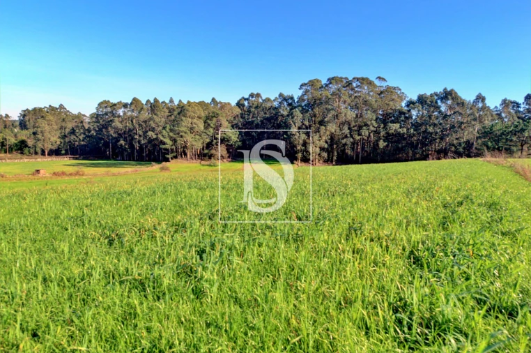 Terreno Agricola ou Rústico para Venda em Laundos Foto 3