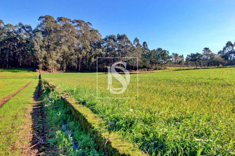 Terreno Agricola ou Rústico para Venda em Laundos Foto 2
