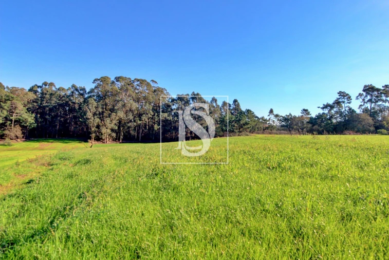 Terreno Agricola ou Rústico para Venda em Laundos