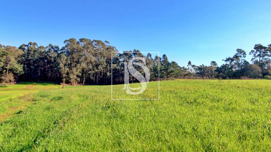 Terreno Agricola ou Rústico para Venda em Laundos