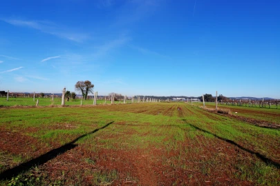 Terreno para Venda em Bougado (São Martinho e Santiago)