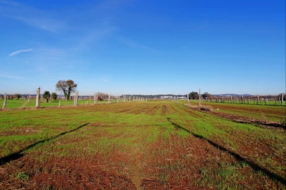 Terreno para Venda em Bougado (São Martinho e Santiago)