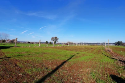Terreno para Venda em Bougado (São Martinho e Santiago)