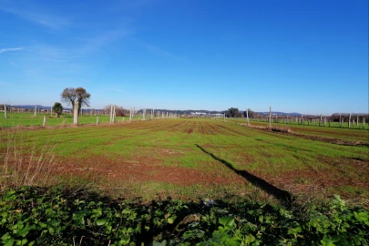 Terreno para Venda em Bougado (São Martinho e Santiago)
