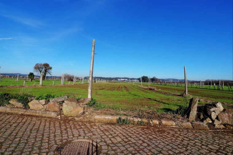 Terreno para Venda em Bougado (São Martinho e Santiago) Foto 4