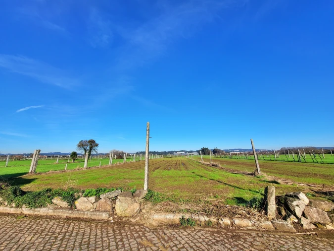 Terreno para Venda em Bougado (São Martinho e Santiago) Foto 2