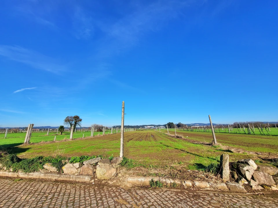 Terreno para Venda em Bougado (São Martinho e Santiago) Foto 2