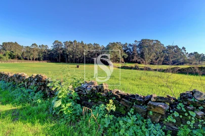 Terreno Agricola ou Rústico para Venda em Laundos