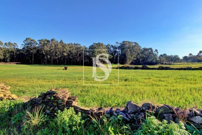 Terreno Agricola ou Rústico para Venda em Laundos