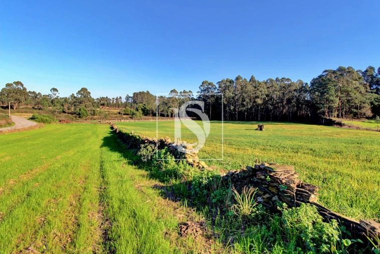 Terreno Agricola ou Rústico para Venda em Laundos Foto 4