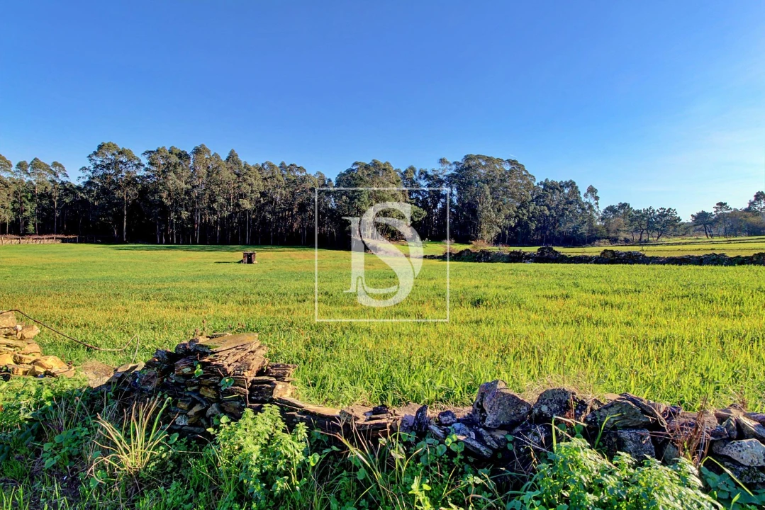 Terreno Agricola ou Rústico para Venda em Laundos Foto 3