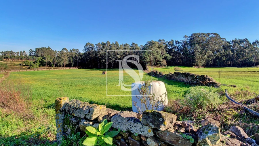 Terreno Agricola ou Rústico para Venda em Laundos