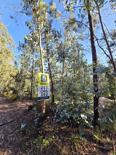 Terreno para Venda em Laundos