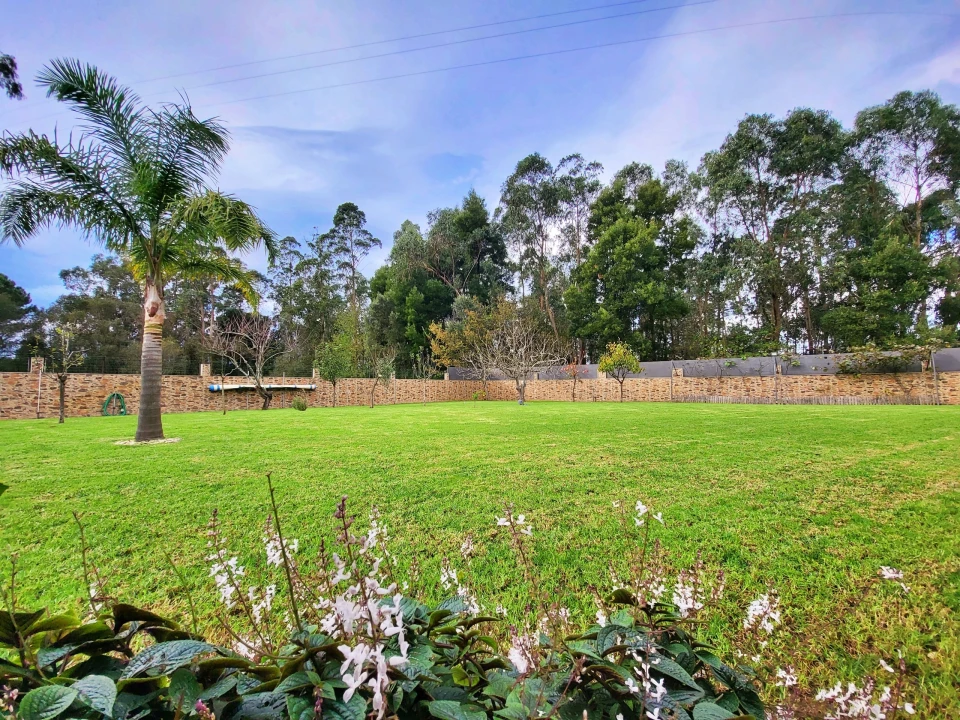 Moradia T4 para Venda em Modivas Foto 7