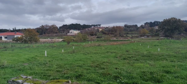 Terreno para Venda em Mouçós e Lamares