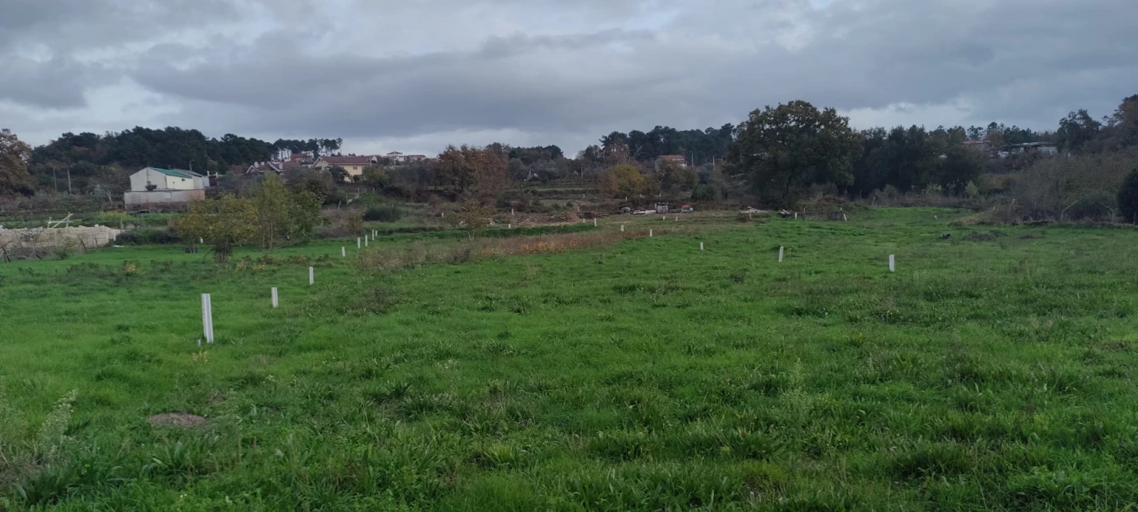 Terreno para Venda em Mouçós e Lamares Foto 5