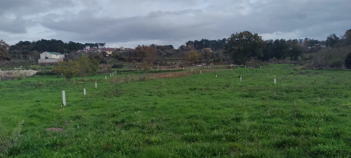Terreno para Venda em Mouçós e Lamares Foto 5