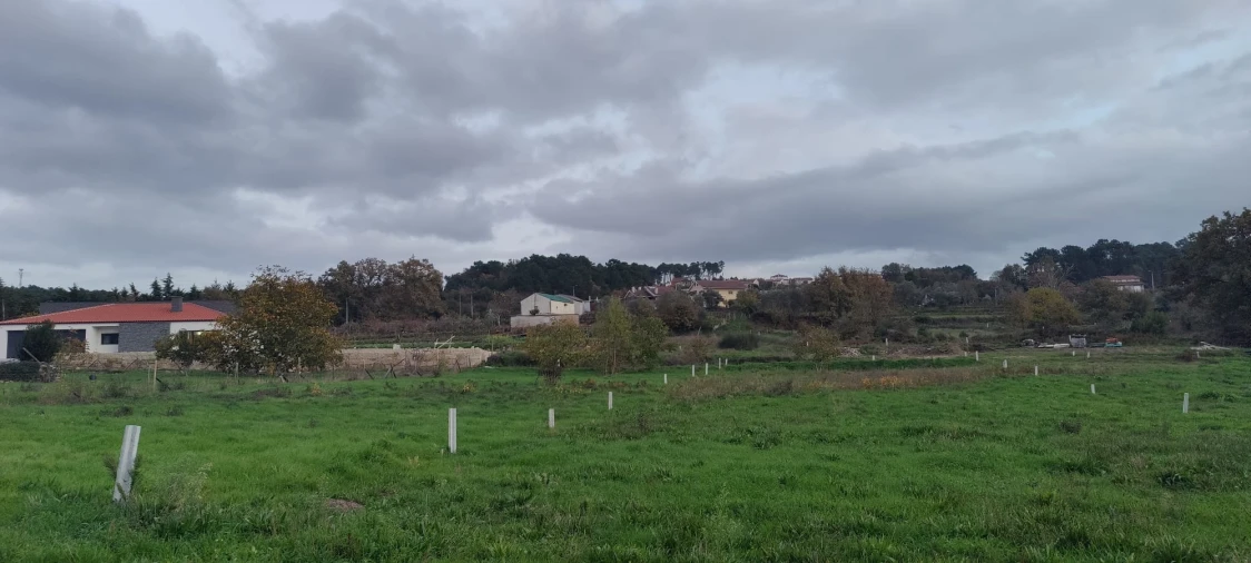 Terreno para Venda em Mouçós e Lamares Foto 4