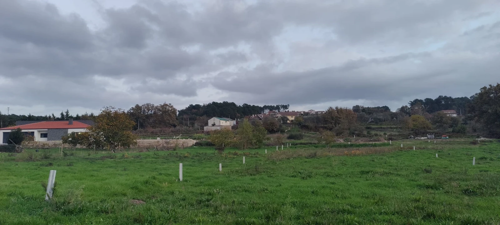 Terreno para Venda em Mouçós e Lamares Foto 4