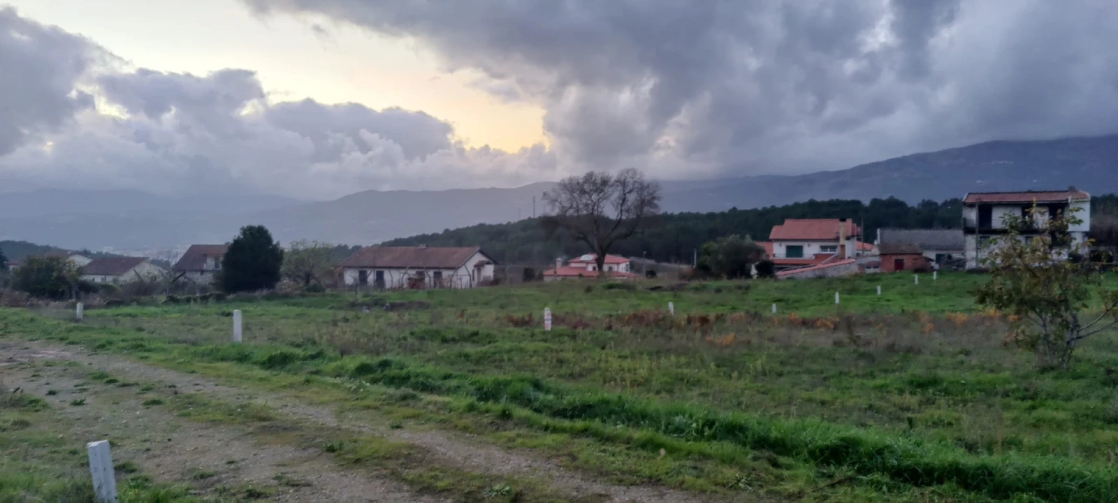 Terreno para Venda em Mouçós e Lamares Foto 2