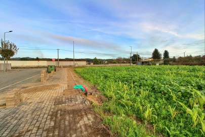 Terreno para Venda em Guilhabreu