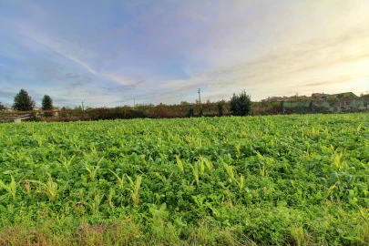 Terreno para Venda em Guilhabreu
