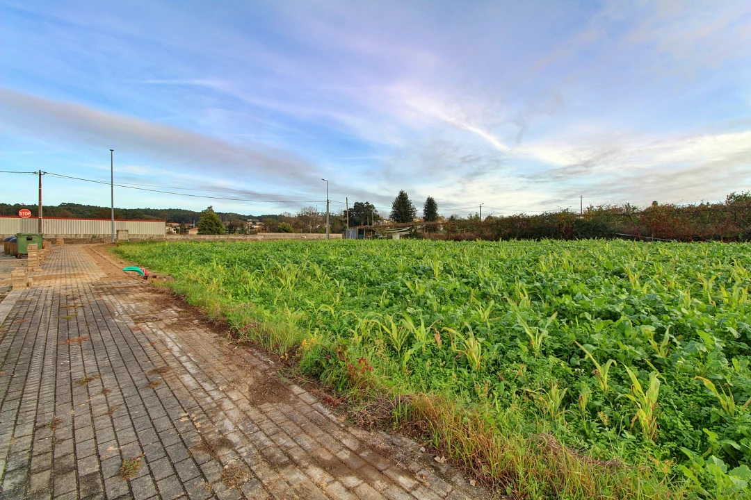 Terreno para Venda em Guilhabreu Foto 3