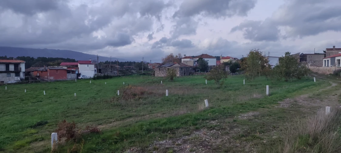 Terreno para Venda em Mouçós e Lamares Foto 4