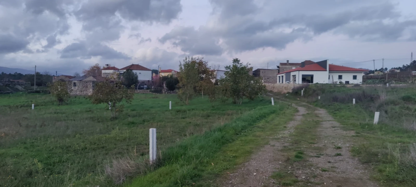 Terreno para Venda em Mouçós e Lamares Foto 2