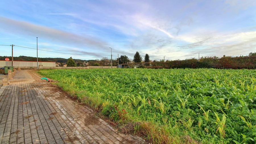 Terreno para Venda em Guilhabreu