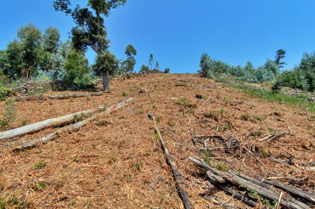 Terreno para Venda em Santa Maria Maior e Monserrate e Meadela Foto 6