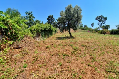 Terreno para Venda em Santa Maria Maior e Monserrate e Meadela