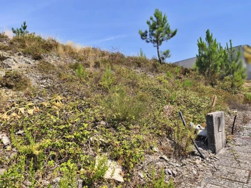 Terreno para Venda em Póvoa de Varzim, Beiriz e Argivai