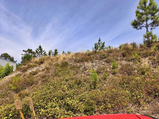 Terreno para Venda em Póvoa de Varzim, Beiriz e Argivai Foto 7