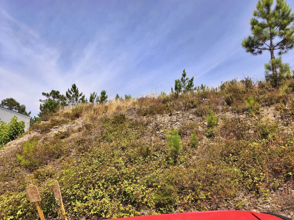 Terreno para Venda em Póvoa de Varzim, Beiriz e Argivai Foto 7