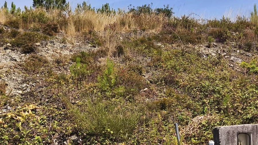 Terreno para Venda em Rates