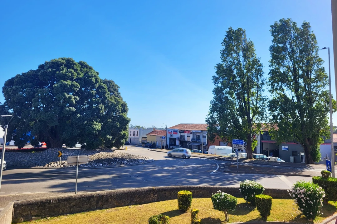 Apartamento T1 para Venda em Azurara Foto 4