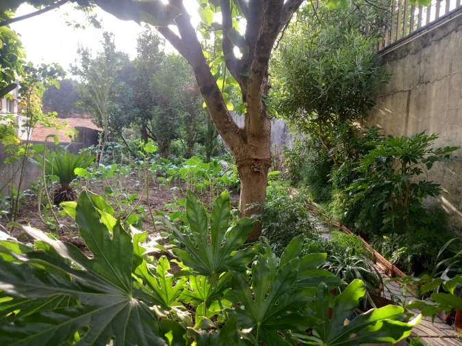 Moradia T4 para Venda em Coronado (São Romão e São Mamede) Foto 8