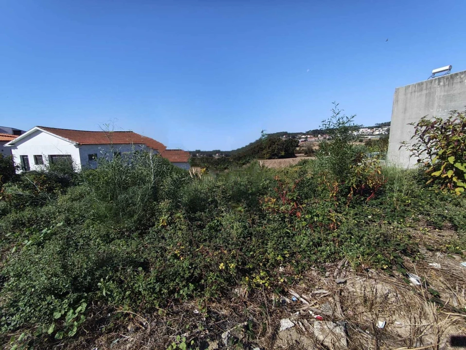 Terreno para Venda em Coronado (São Romão e São Mamede) Foto 1