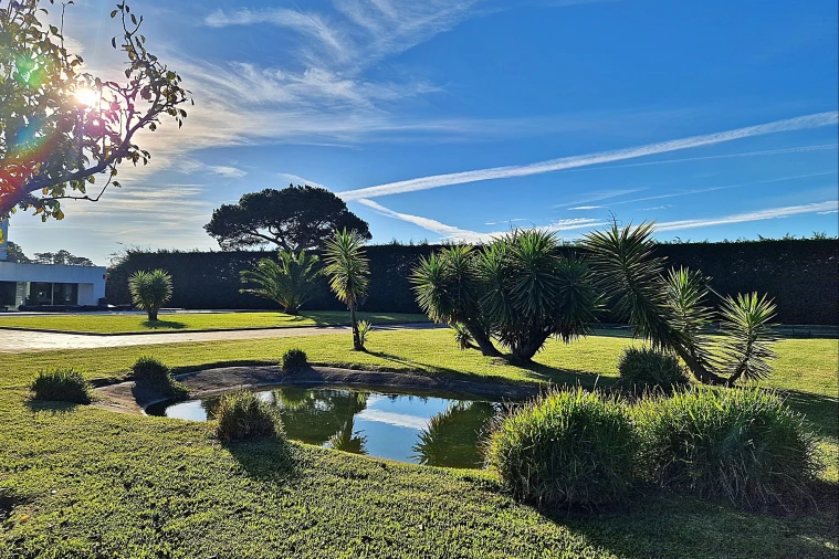 Moradia T5 para Venda em Apúlia e Fão Foto 5