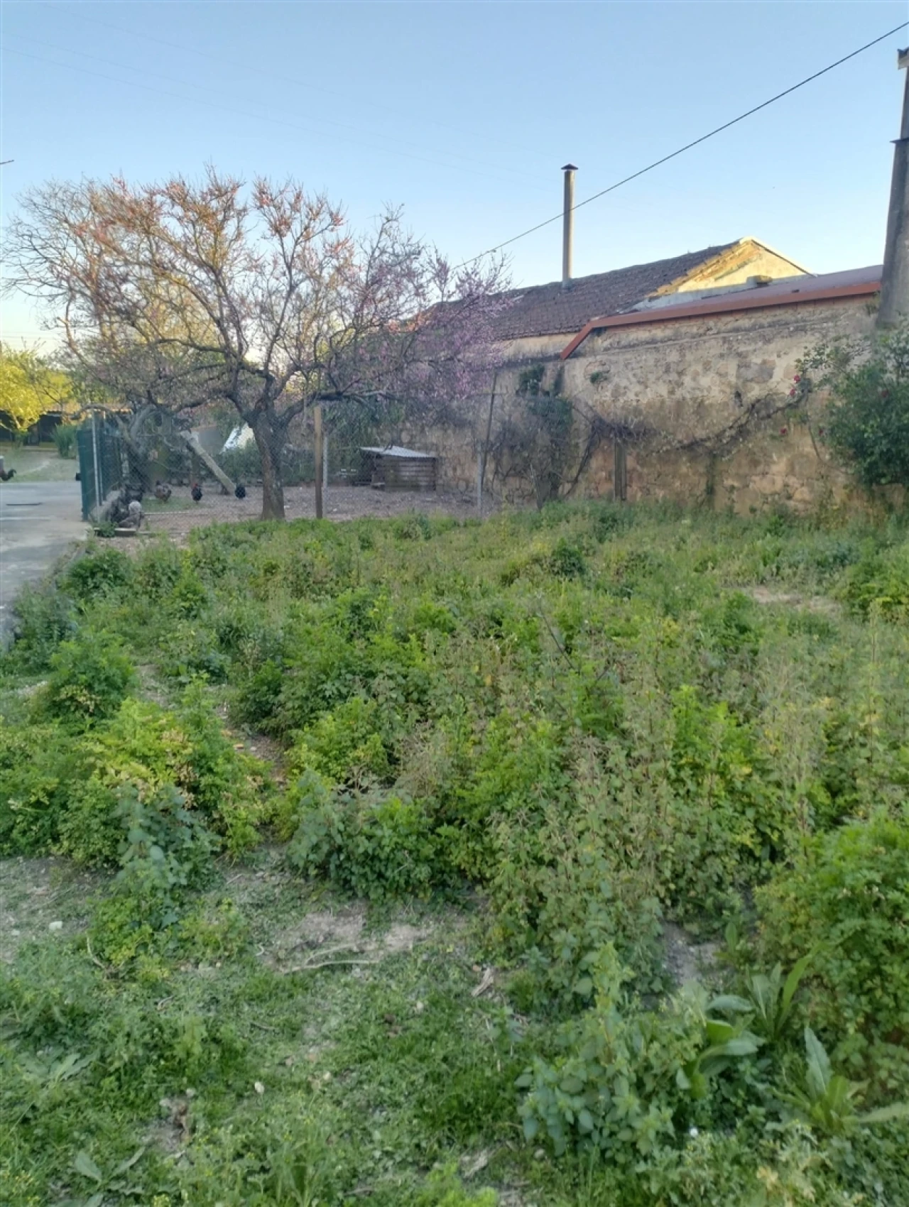 Terreno para Venda em Touguinha e Touguinhó Foto 3