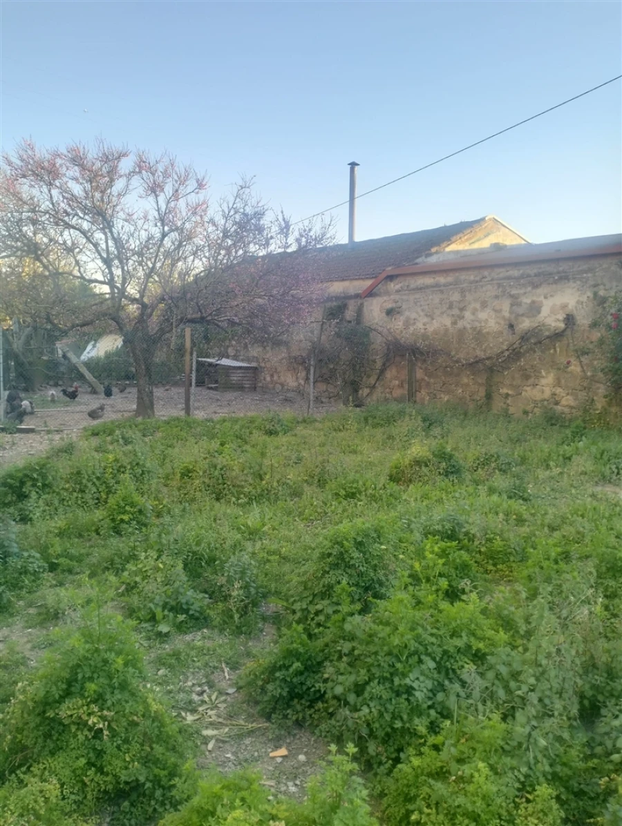 Terreno para Venda em Touguinha e Touguinhó Foto 4