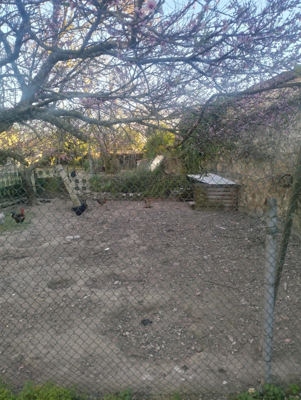 Terreno para Venda em Touguinha e Touguinhó Foto 5