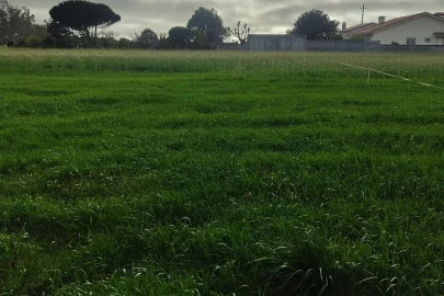 Terreno Agricola ou Rústico para Venda em Mindelo