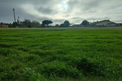 Terreno Agricola ou Rústico para Venda em Mindelo